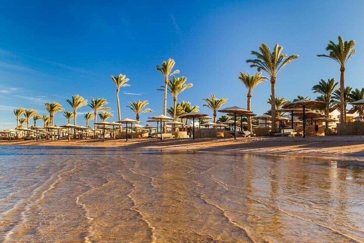 een strand met palmbomen en parasols
