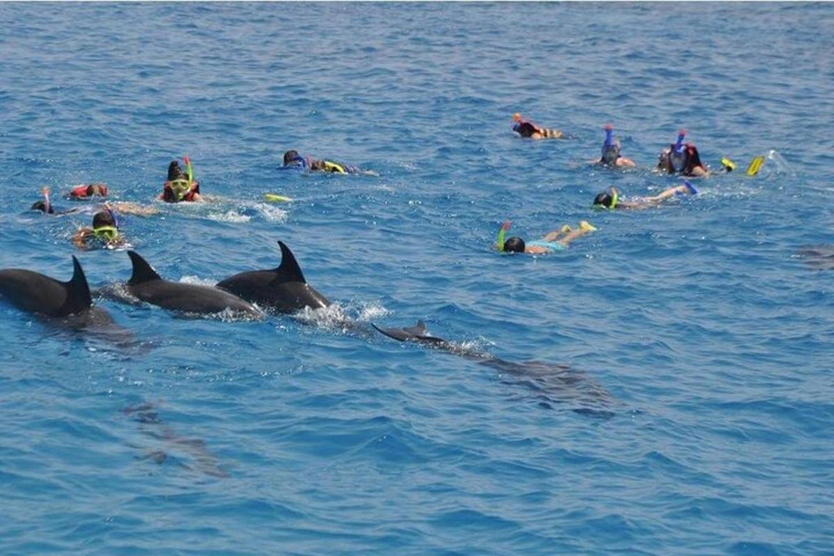een groep mensen die in het water zwemmen