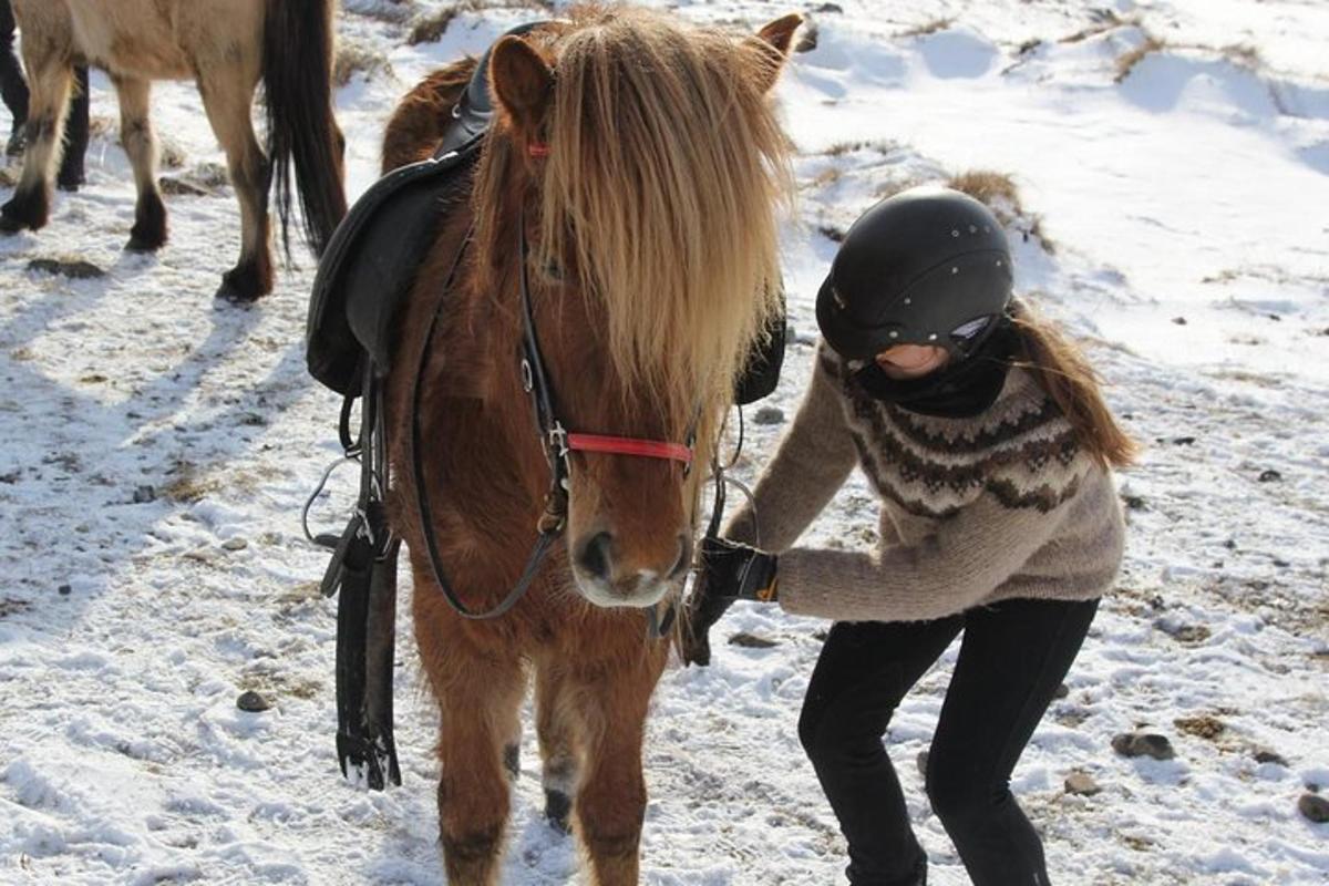 Egy nő simogat egy barna lovat a hóban