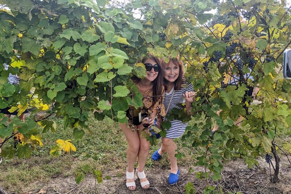 two young girls are standing in a grape bush