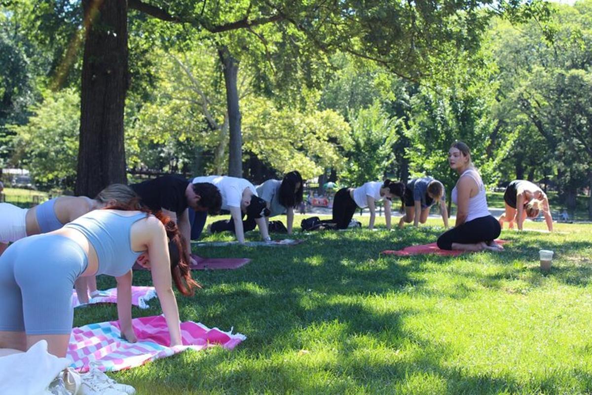 a group of people doing yoga in the grass