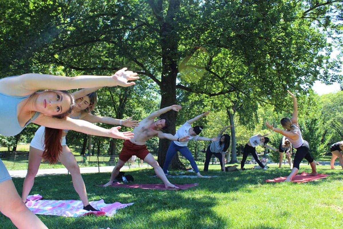 um grupo de pessoas fazendo ioga em um parque