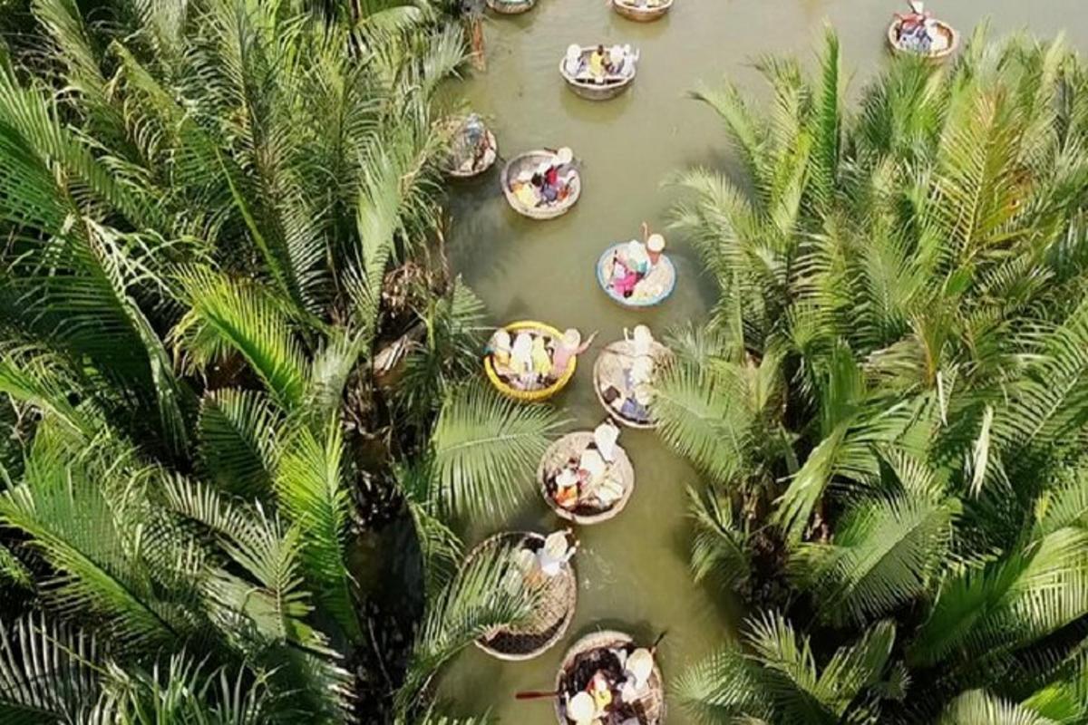 a group of boats in a river with palm trees
