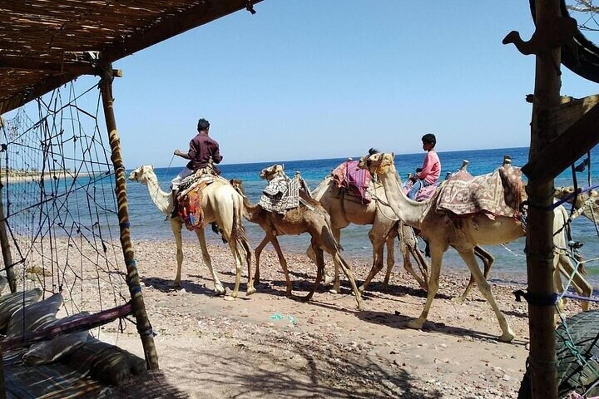 un gruppo di persone a cavallo di cammelli sulla spiaggia