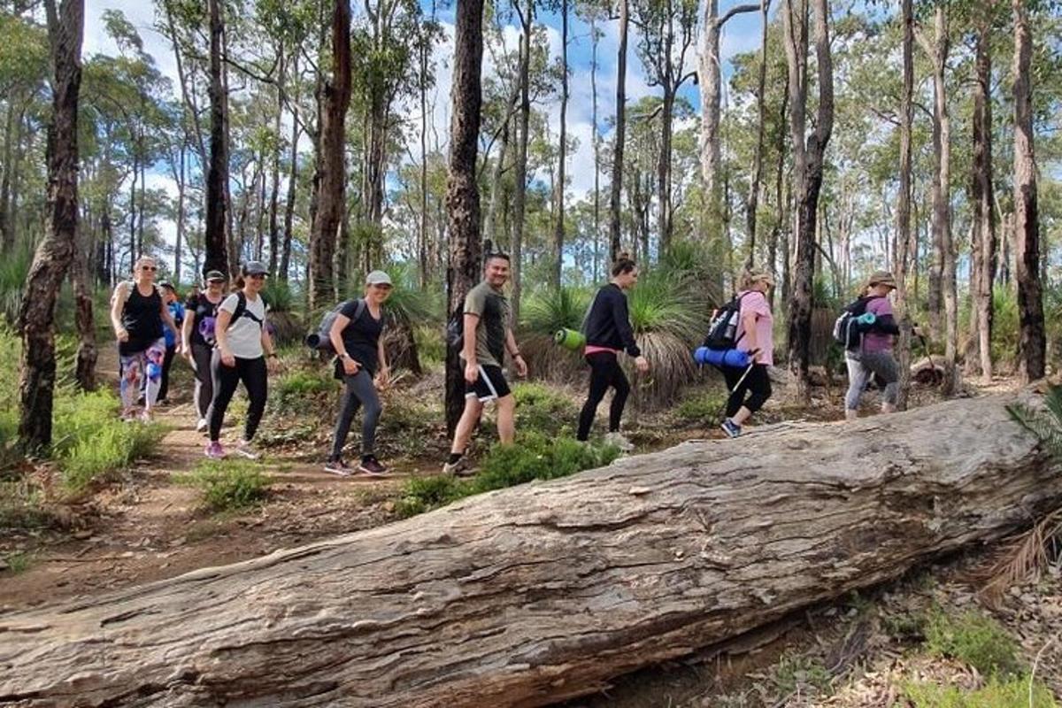 a group of people walking on a trail in the woods