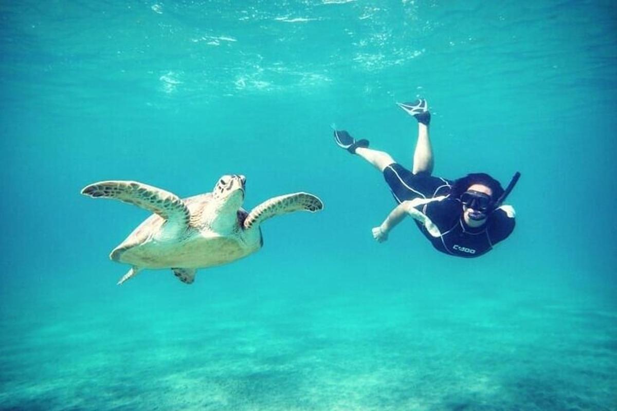 un home nedant a l'aigua al costat d'una tortuga marina