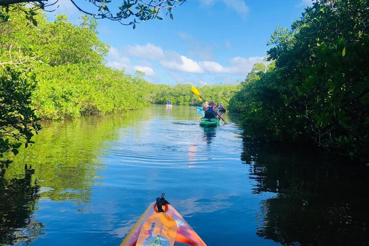 sekumpulan orang dalam kayak di sungai