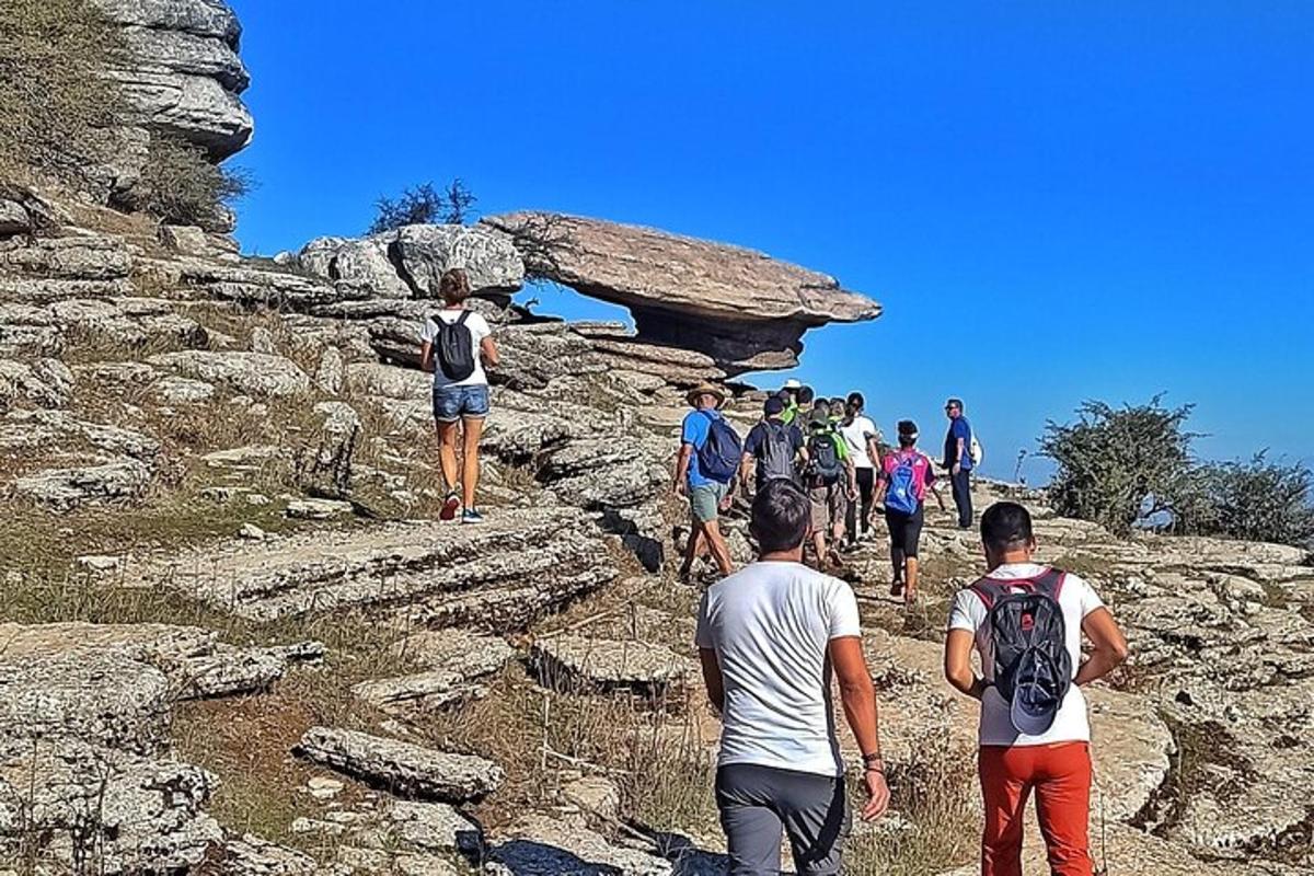 Lankytinos vietos ar pramogos nuotrauka numeris 7