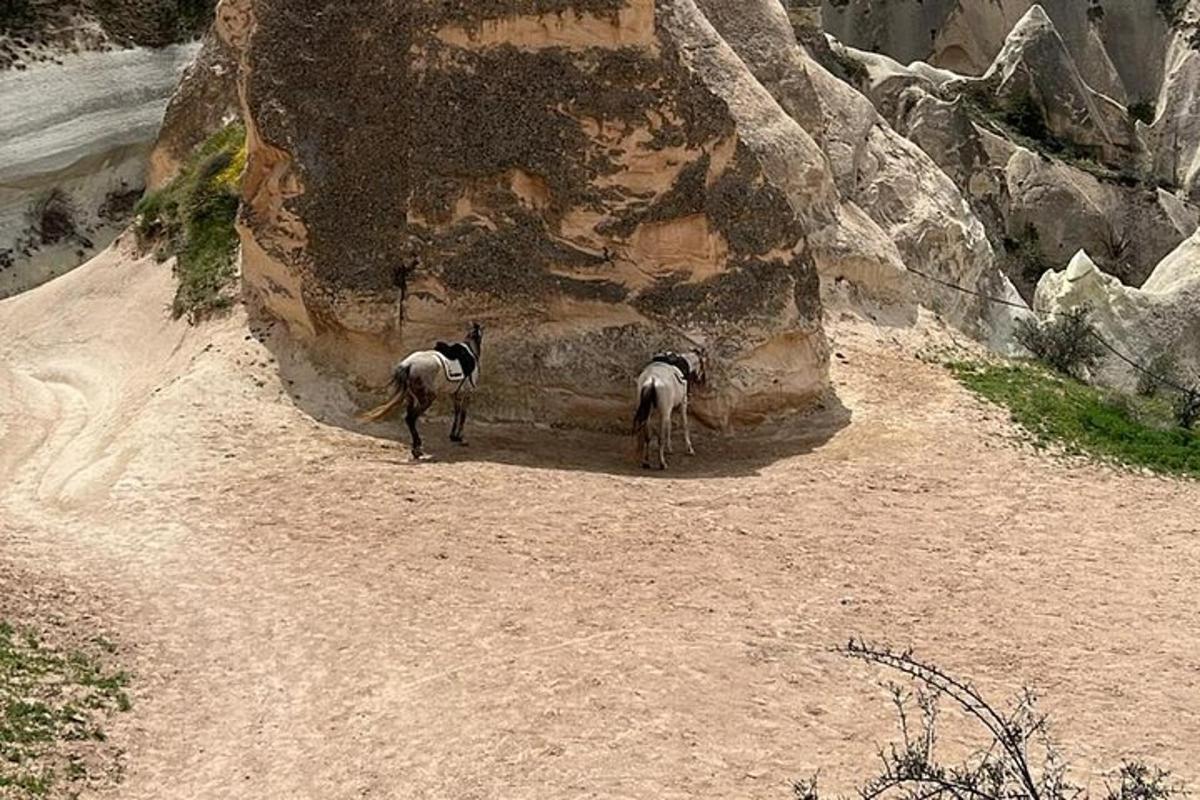 dois cavalos caminhando em uma estrada de terra ao lado de uma montanha