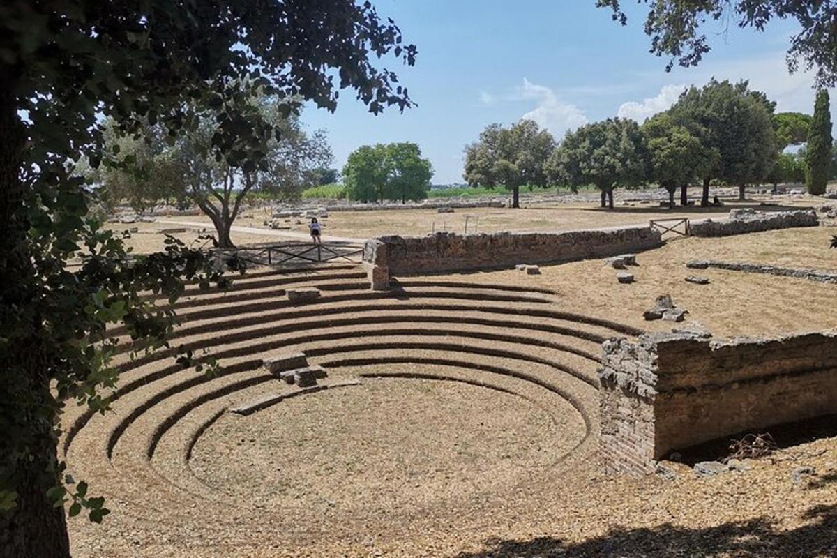 an amphitheater in a field with trees in the background