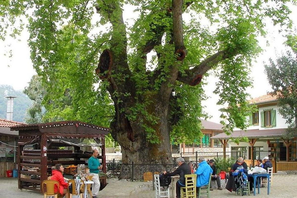 Lankytinos vietos ar pramogos nuotrauka numeris 1