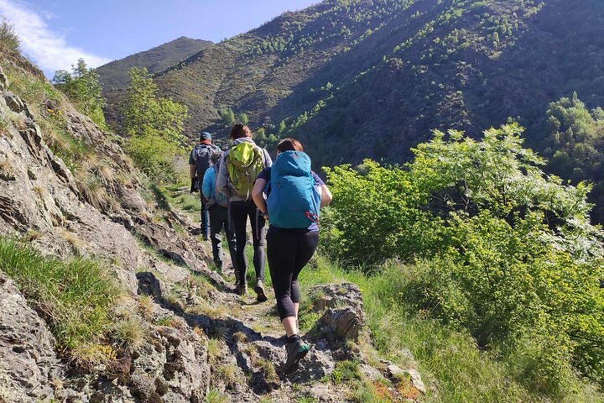 eine Gruppe von Menschen, die auf einem Bergpfad wandern