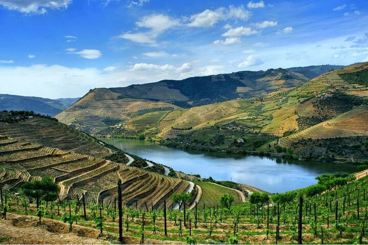 pogled na reko s kopico vinogradov