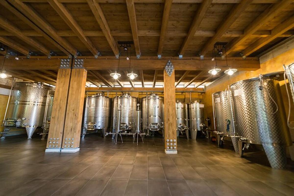 a wine cellar with rows of wine barrels