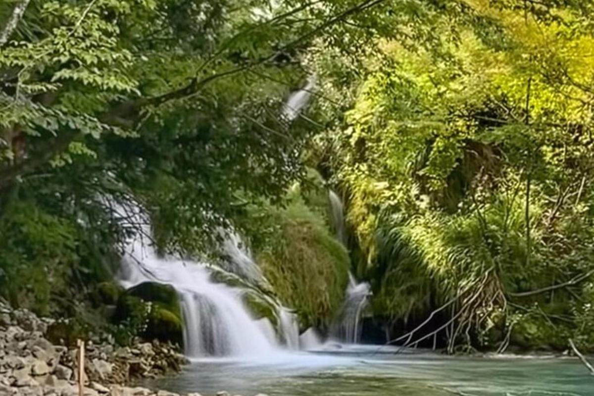 Lankytinos vietos ar pramogos nuotrauka numeris 4