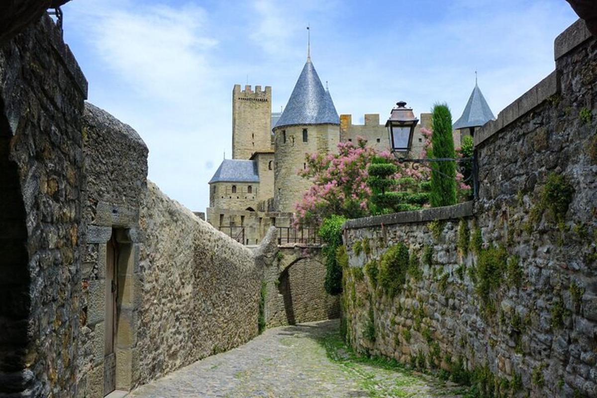 an alley in front of a castle with stone walls