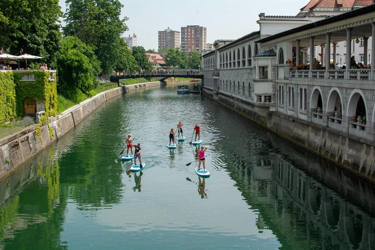 un grup de oameni pe plăci de paddle într-un râu