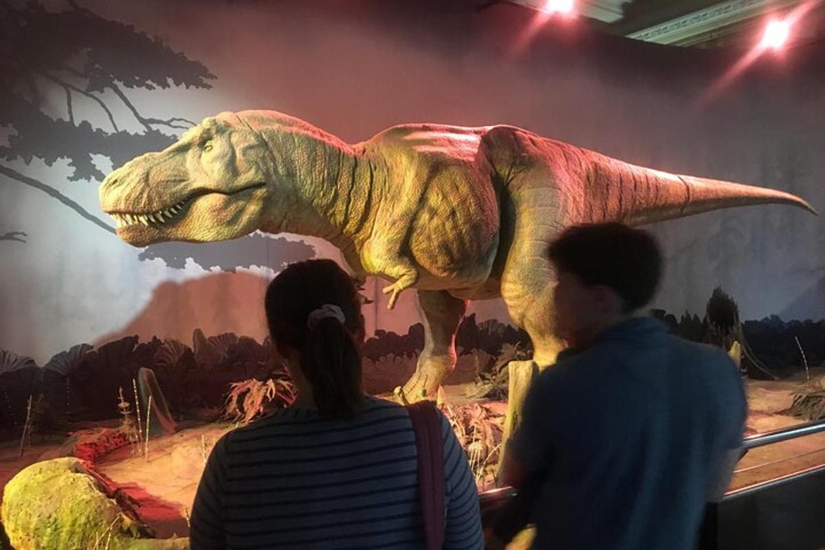 bir müzede bir dinozora bakan iki kişi