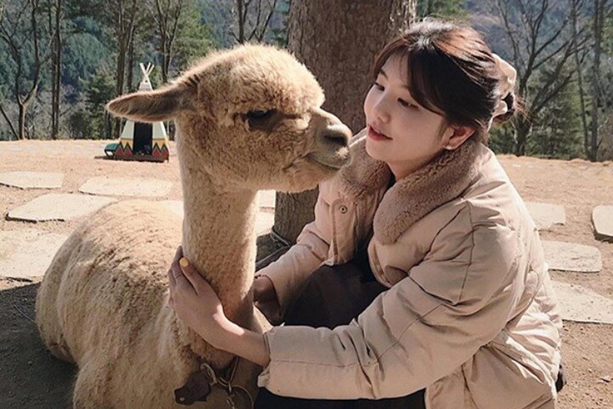 투어 액티비티 사진 5번
