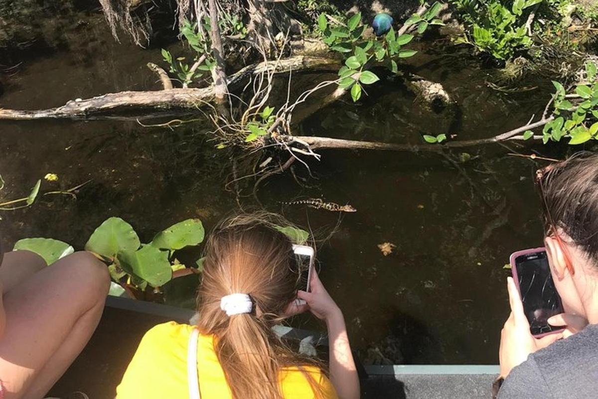 two people taking pictures of a bird in the water