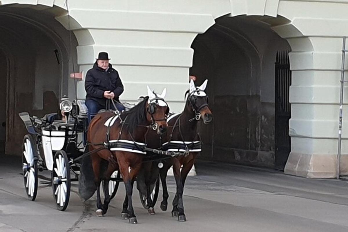egy férfi egy hintóban, amelyet két ló húz