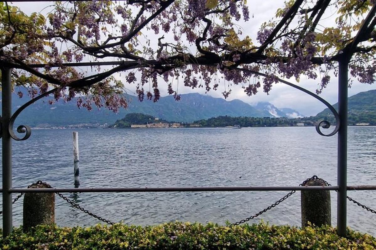 pogled na veliko vodno telo z drevesom