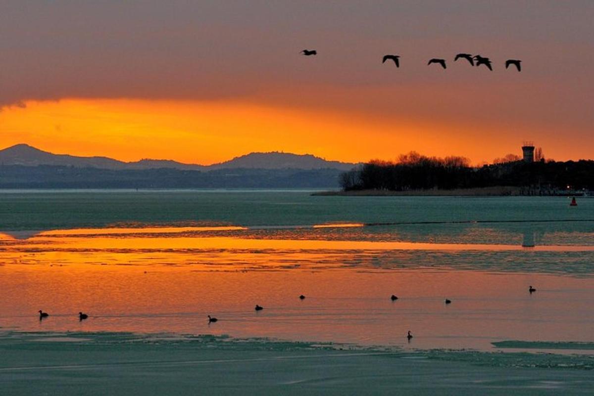 hópur fugla sem fljúga yfir vatnið við sólsetur