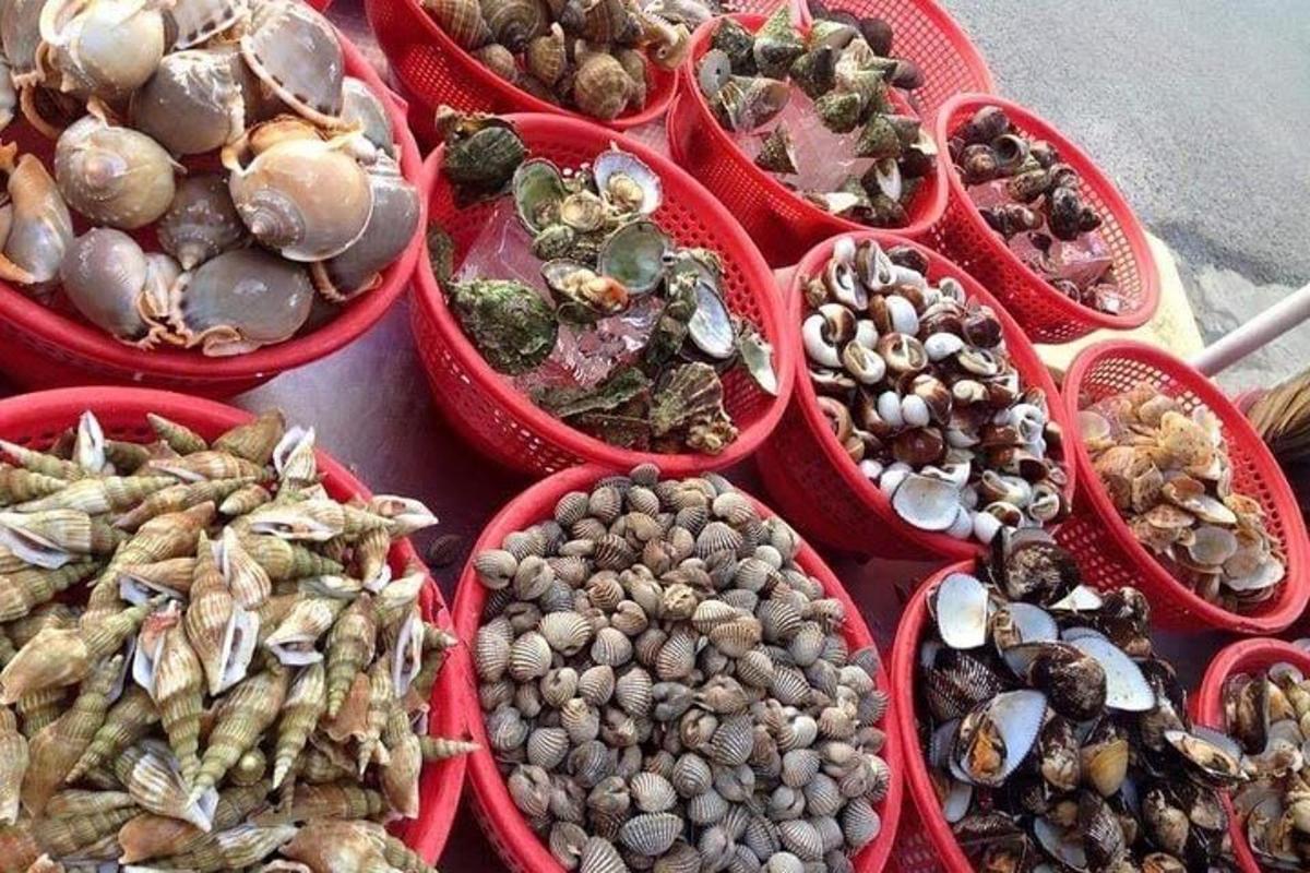 مجموعة من السلال الحمراء المليئة بأنواع مختلفة من الفطر