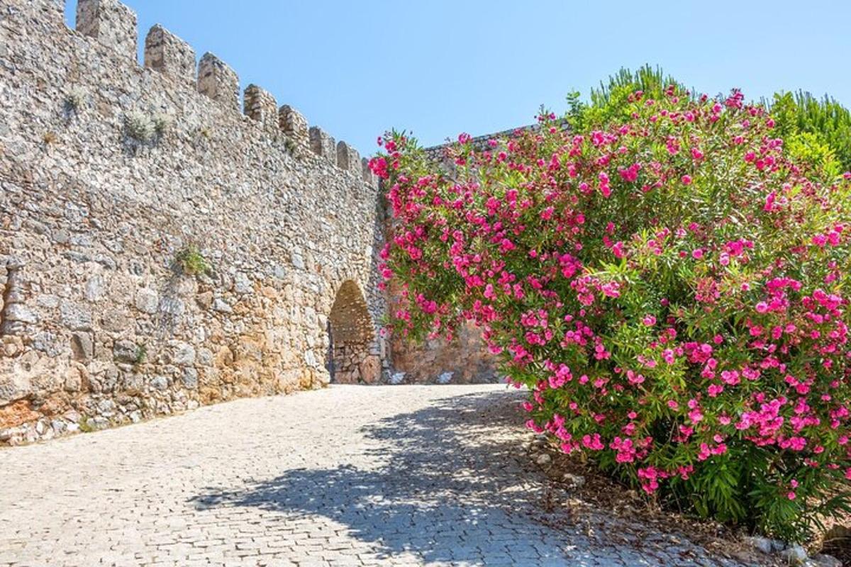 un muro di pietra con fiori rosa su una strada