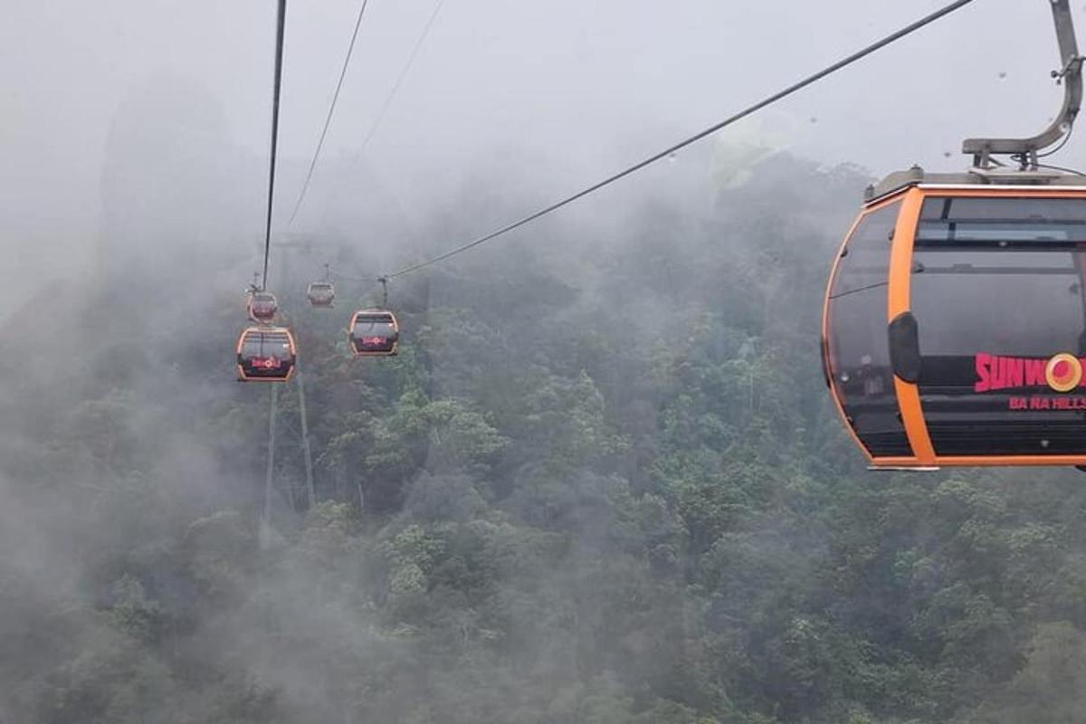 un groupe de gondoles survolant une forêt