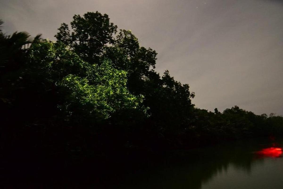 Fotografia da atração 5