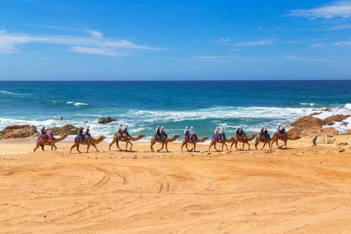 un grupo de personas montando a caballo en la playa