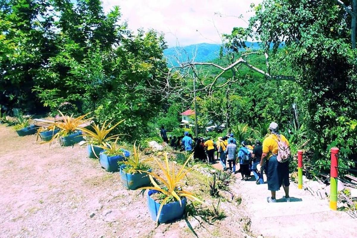 un grup de persones plantant plantes