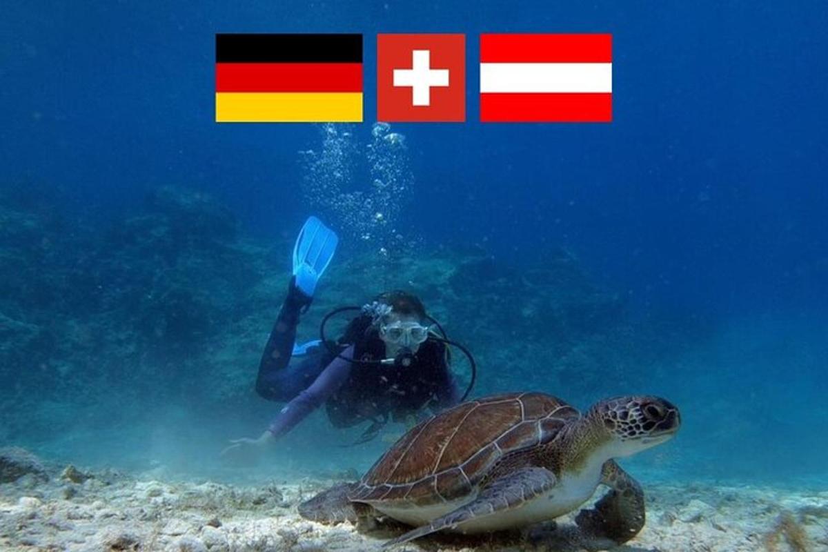 oseba v vodi z želvo in zastavo