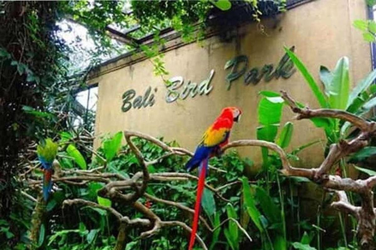 un oiseau coloré assis sur une branche d'arbre