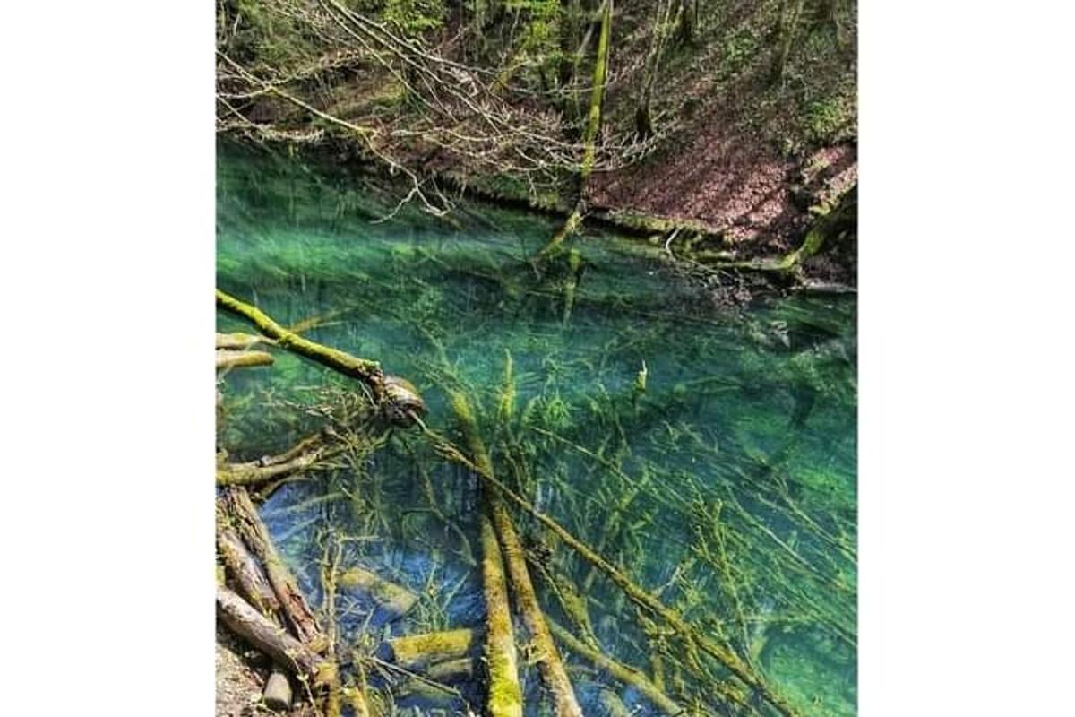 due foto di un fiume con alberi nell'acqua
