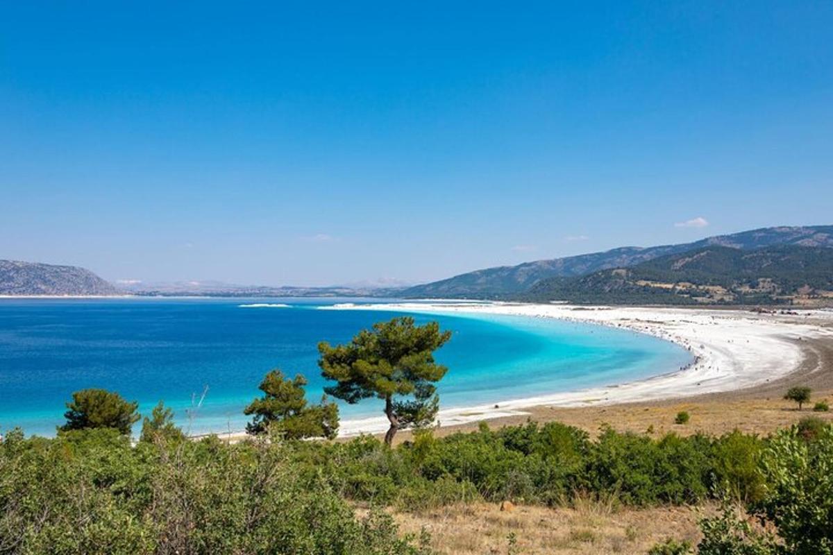 pogled na plažo z drevesom in oceanom