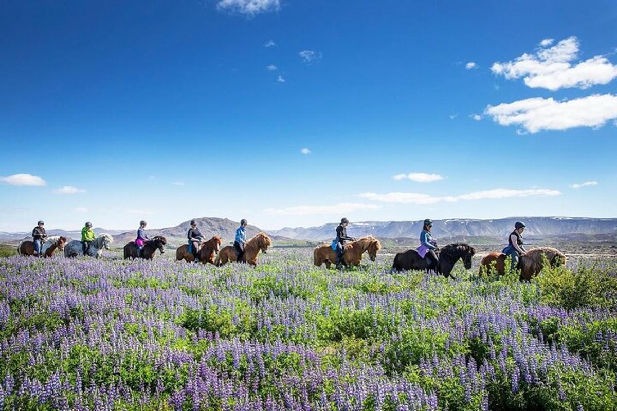 un gruppo di persone a cavallo in un campo di fiori