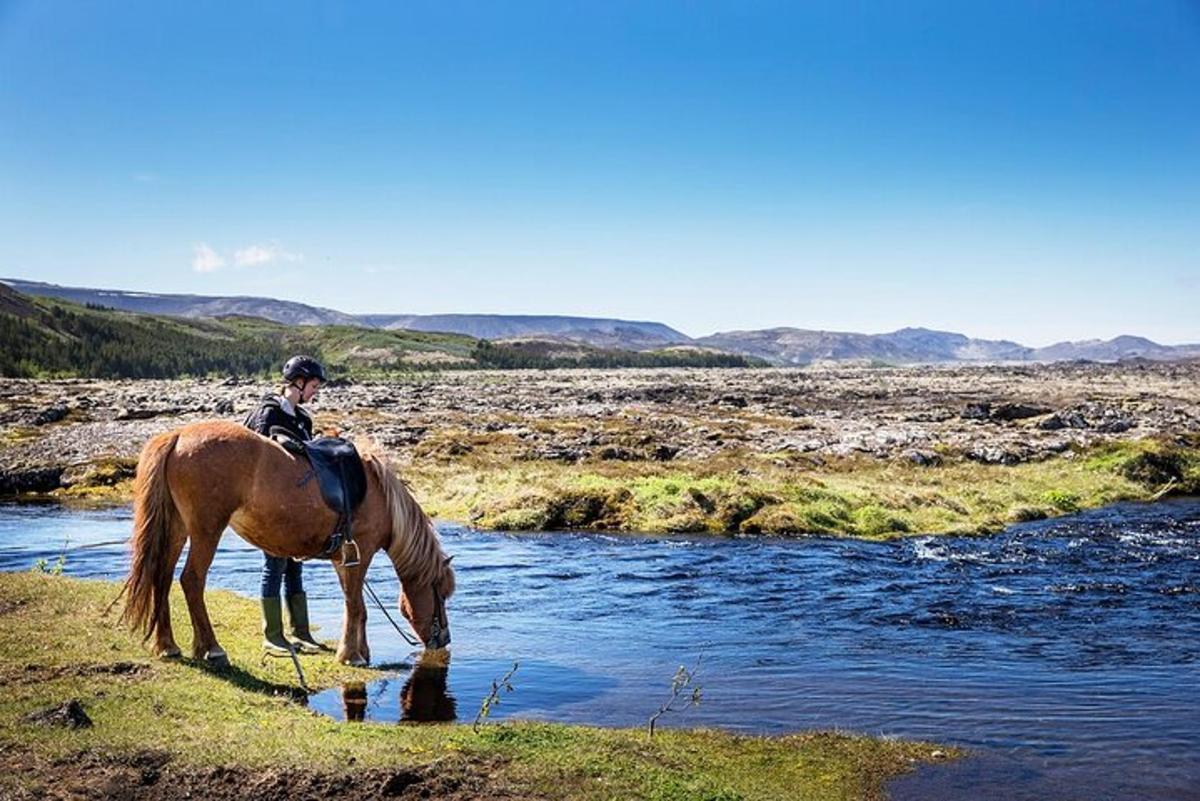 una persona a caballo bebiendo agua de un río