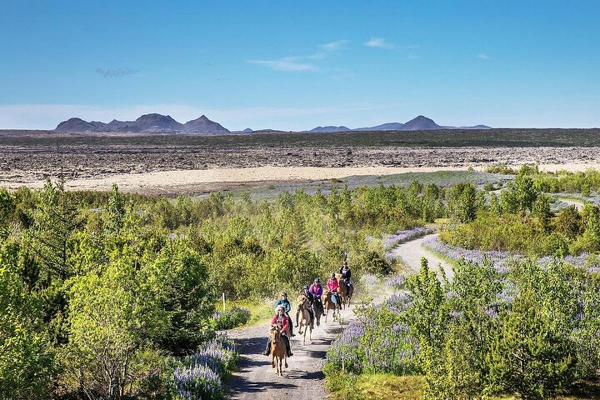 Un grupo de personas montando a caballo por un camino de tierra.