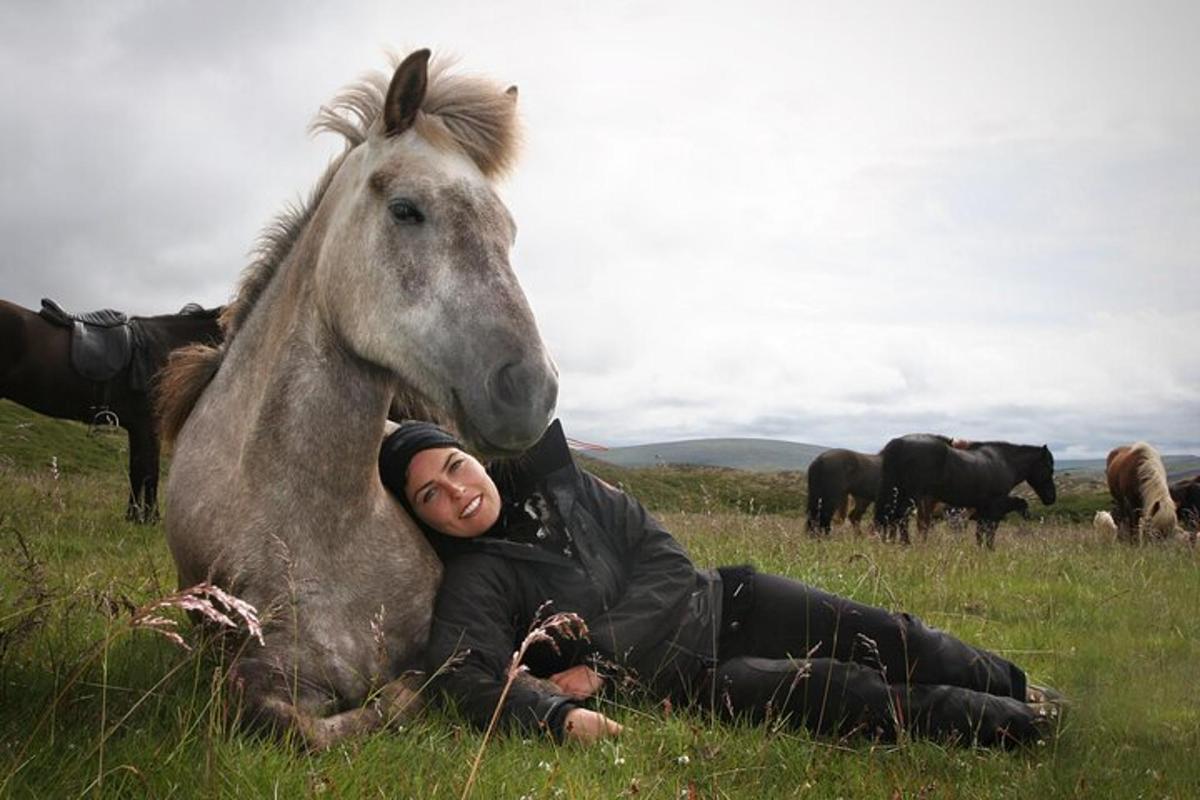una persona tumbada en un campo con un caballo