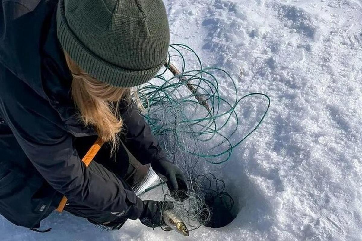 Bilde 2 av attraksjonen