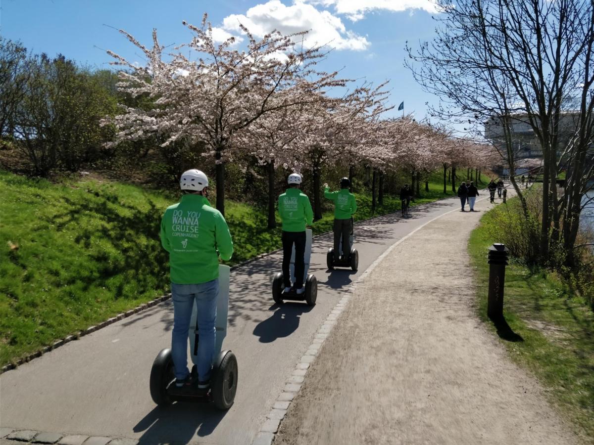 tři lidé v zelených tričkách jedou po silnici na segwayích