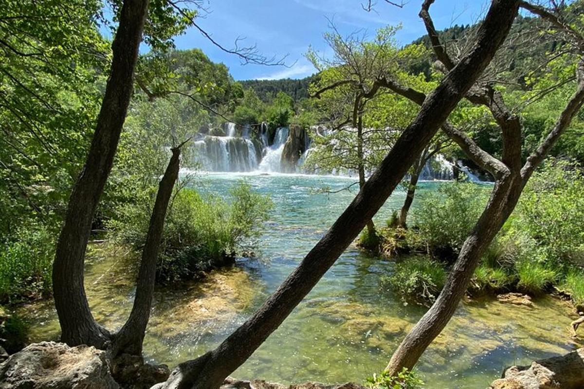 vodopad usred rijeke okružen drvećem