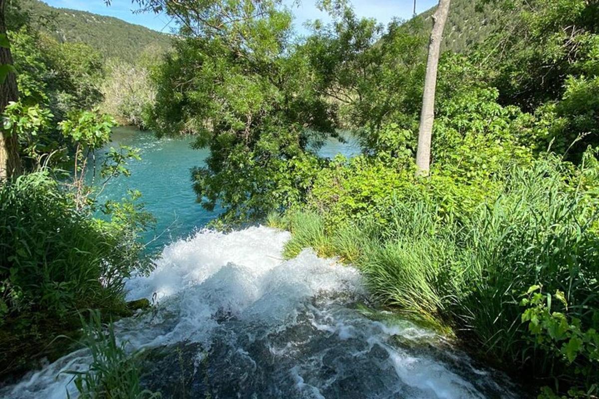 un corso d'acqua in un fiume con alberi