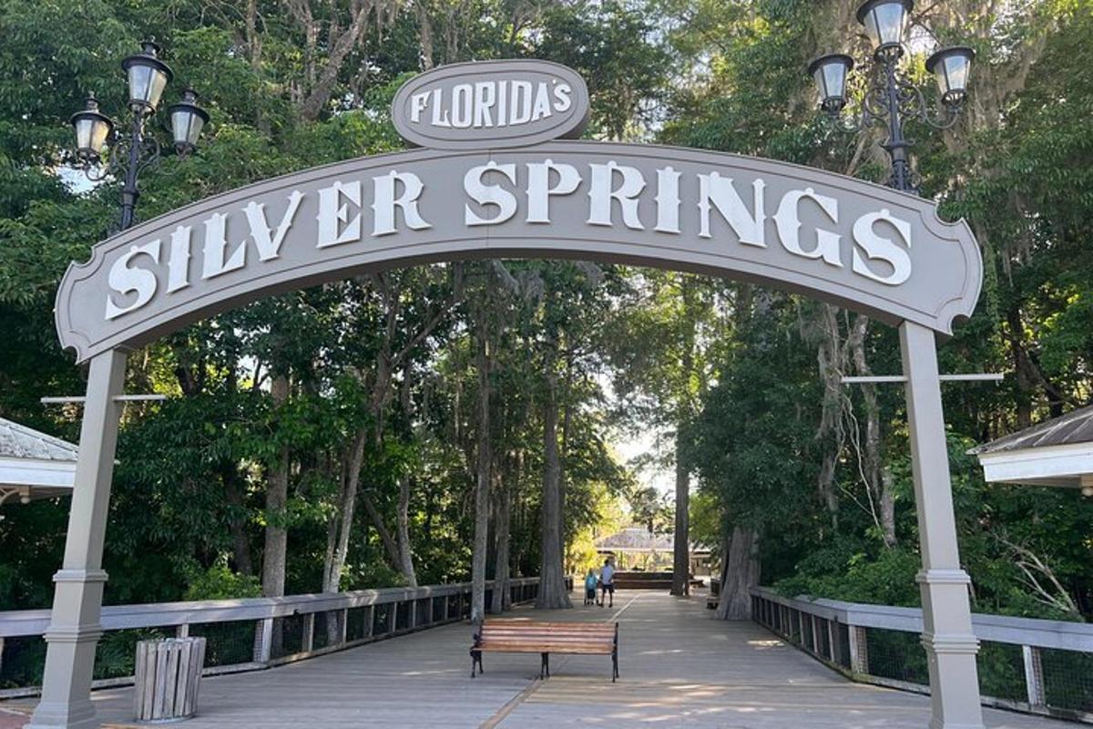 a sign that reads skyr spring with a bench under it
