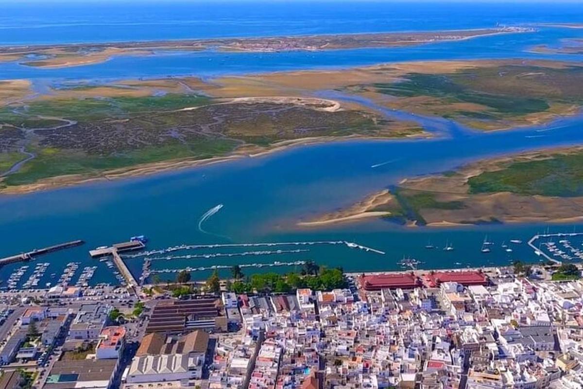 水域旁的城市鸟瞰图