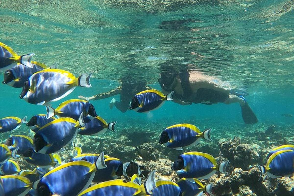 Attraction picture 7