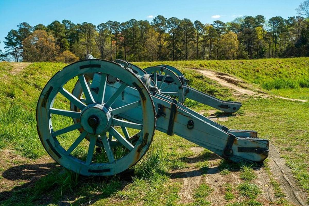 a blue cannon sitting in the middle of a field