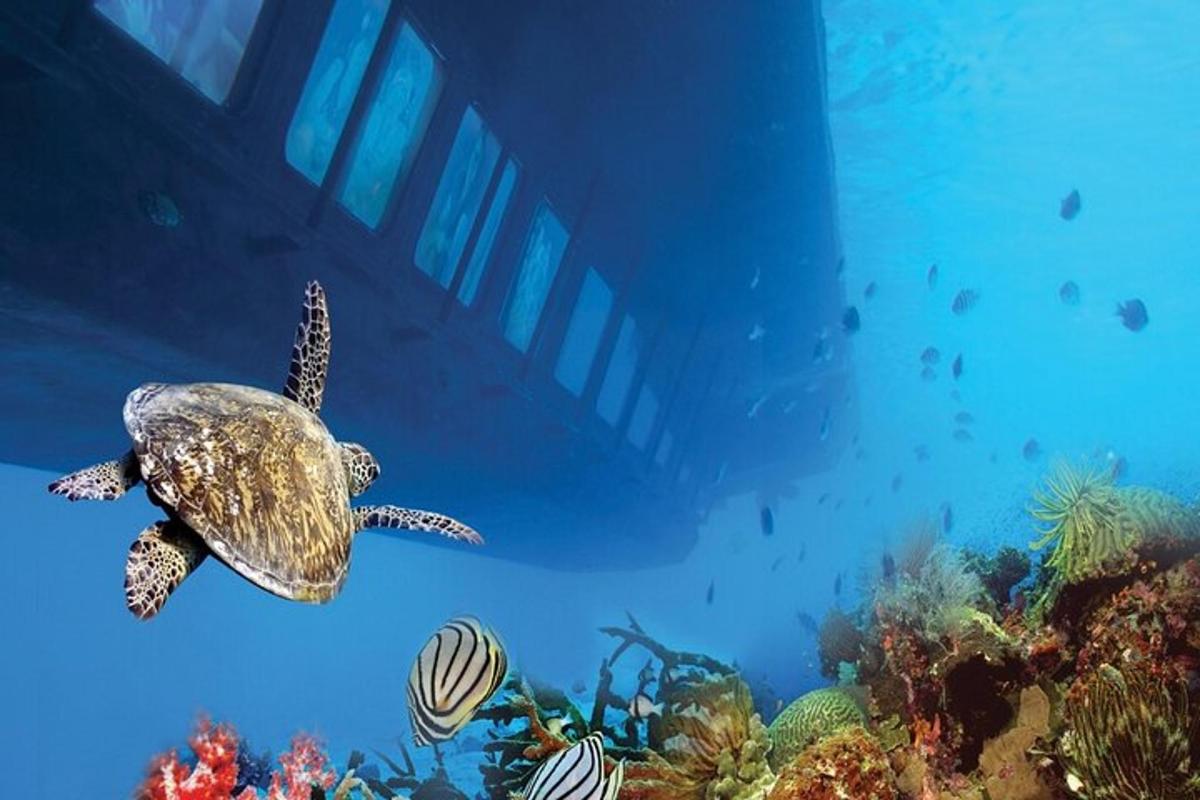 una tortuga verda nedant a l'oceà